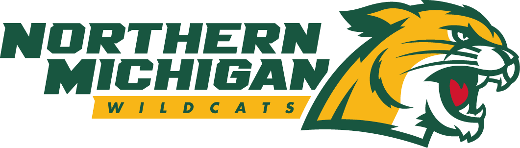 Northern Michigan Wildcats 2016-Pres Alternate Logo 03 iron on paper